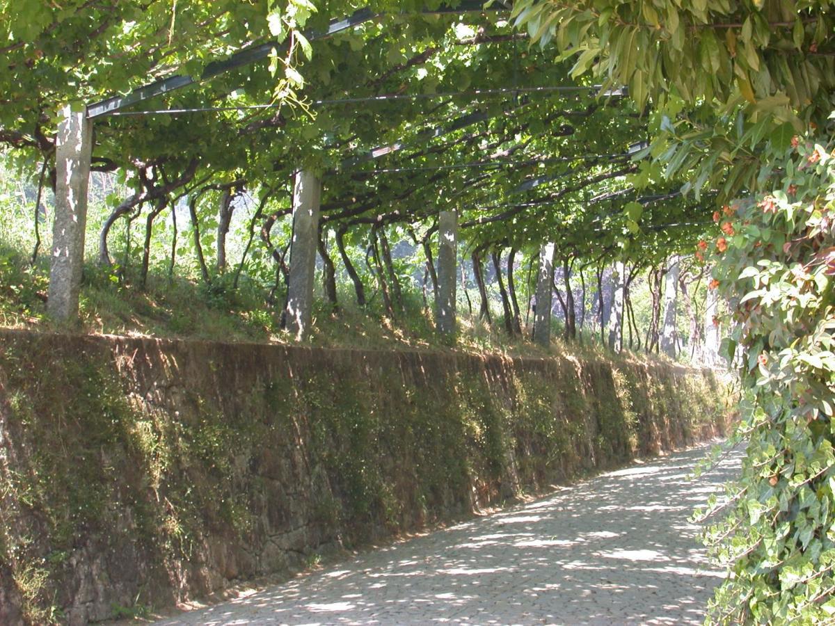 Vila Quinta Da Tapada Lousada Exteriér fotografie